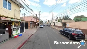 Asociación Los Amigos de San Pedro - Col. Juárez