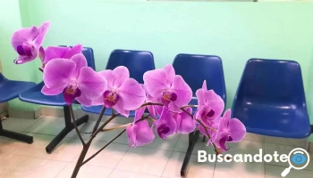 C.m.a.t. Izcalli Medicina Alternativa y Complementaria - Cuautitlán Izcalli