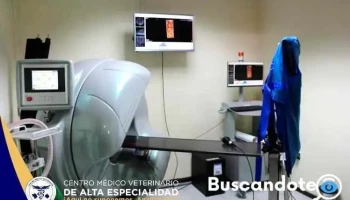 Centro Médico Veterinario de Alta Especialidad - Sector Centro