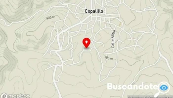 Centro Social de Copalillo - Barrio De Los Dolores