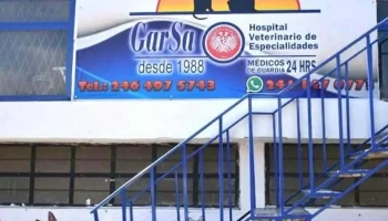 Clinica Veterinaria De Especialidades Garsa Sucursal Zacatelco - Centro