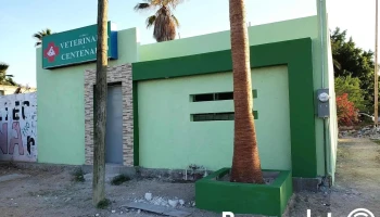Clínica Veterinaria El Centenario - Leona Vicario Y