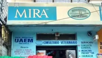 Clínica Veterinaria Pura Sangre - Ixtapaluca