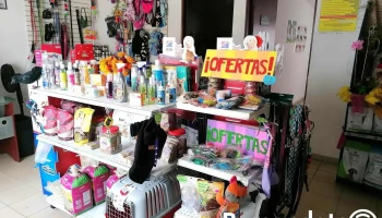 Clínica Veterinaria San Francisco de Asís - Urbana San Felipe Clínica Veterinaria San Francisco de Asís - Urbana San Felipe