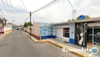 Consultorio Médico Amio - Tezoyuca