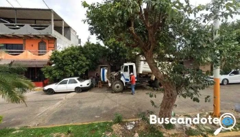 Consultorio médico Dr Radamés Trejo González - Cruz Verde