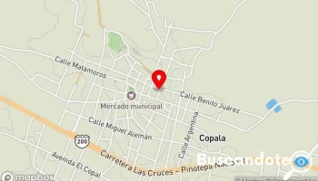 Consultorio Médico Honorio Carmona Prudente - Centro