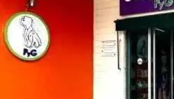 Consultorio PyG especializado para perros y gatos - Puerta Real Residencial Desarrollo Urbana 08