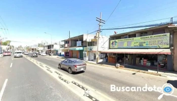 Curarte; Fisioterapia y Rehabilitación - Grande