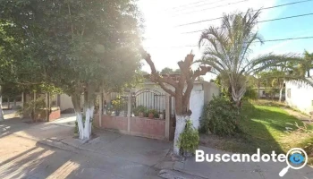 Dentista - Bamoa