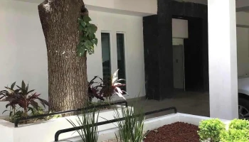 Dr. José Guadalupe Nava Reyna - Zona Centro