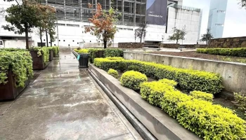 Emis Escuela de Medicina y Ciencias de la Salud TecSalud del Tecnológico de Monterrey - Sertoma