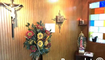 Hospital San Francisco de Tj Bc - Colonia America