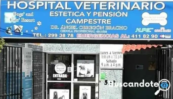 Hospital Veterinario, Consultas, Cirugias, Emergencias, Medicina Preventiva En Perros Y Gatos Dog´s And Cat´s Resortes - Iv
