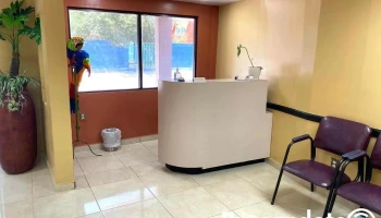 Medica Nueva Era - 88810 Nuevo Progreso