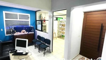 Médica Pacífico - Almoloya Del Río