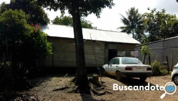 Quiropráctico Empírico Don Lencho - La Pista I
