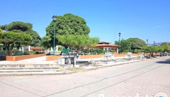 Reforma de Pineda - Reforma De Pineda