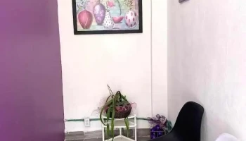 Servicios médicos Yaabil - San Mateo Atenco