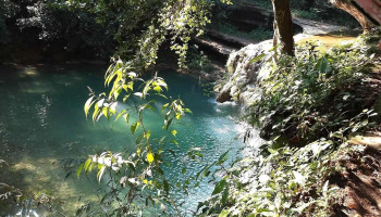 Tandzumadz Centro, Huehuetlán ,San Luis Potosí - 79882 Tandzumadz