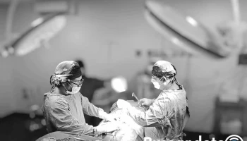 Ultrasonido-Consulta Médica Dr. Eduardo Cervantes - Granjas Banthi