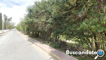 Umf 53 - Centro De Galeana