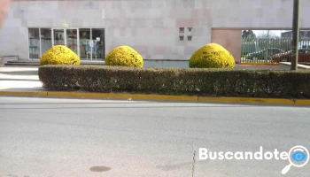 Umf No. 21 Imss Calera, Zacatecas - Centro