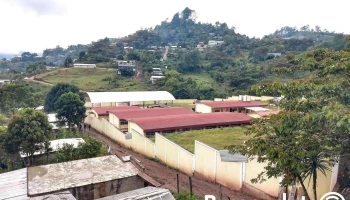 Umr Los Chorros - Chiapas