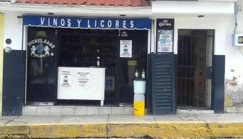 Villa De Cos - Centro