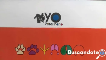 Yo Veterinario - Ignacio Allende Pte. 207