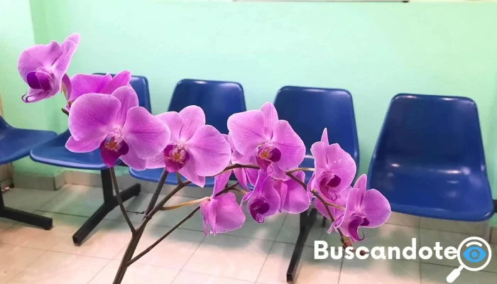 C.m.a.t. Izcalli Medicina Alternativa y Complementaria - Cuautitlán Izcalli
