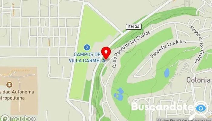 Calle de Cedros - Fraccionamiento Y Club De Golf Los Encinos