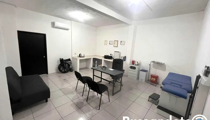 Centro Medico Santa Teresa - Tulipanes