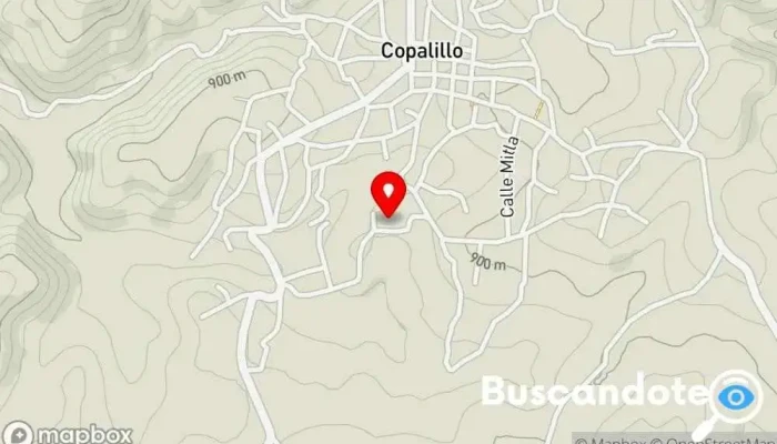 Centro Social de Copalillo - Barrio De Los Dolores