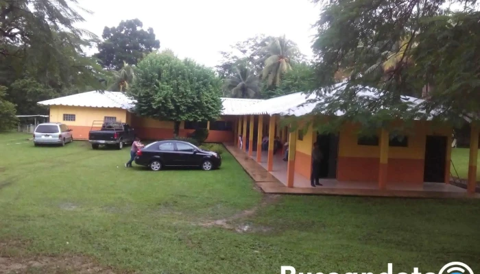 Clinica el Buen pastor - 7a. Avenida Nte. Pte. 7"w