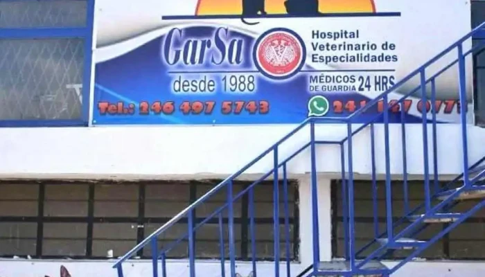 Clinica Veterinaria De Especialidades Garsa Sucursal Zacatelco - Centro