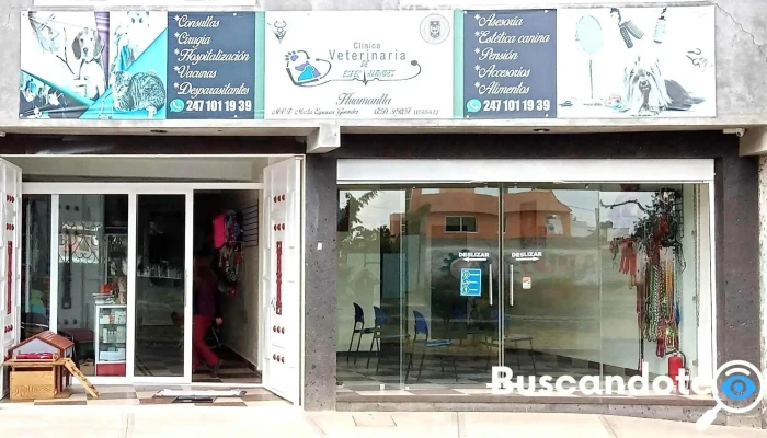 Clínica Veterinaria De Especialidades Huamantla - Nuevos Horizontes