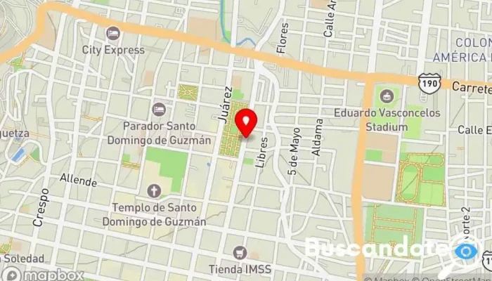 mapa de Consultorio Médico Salud Vital Médico especializado en medicina laboral en Oaxaca de Juárez