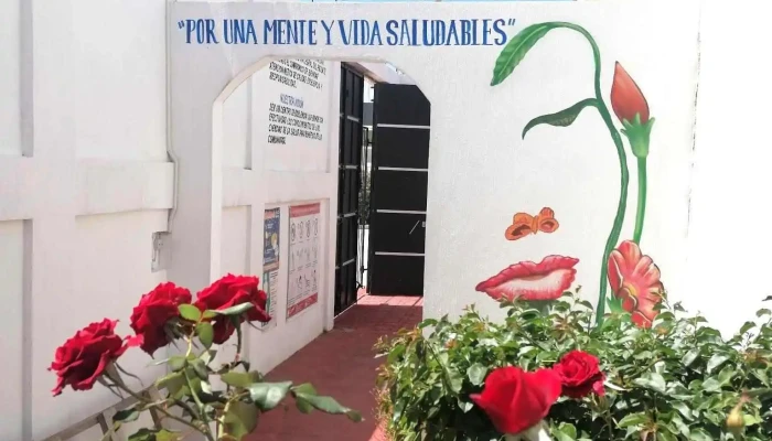 Consultorios Médicos Comitán (comeco) - Bosques De Comitán 3a Secc