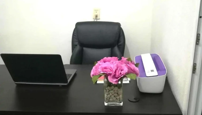 Doctora Flor - Centro