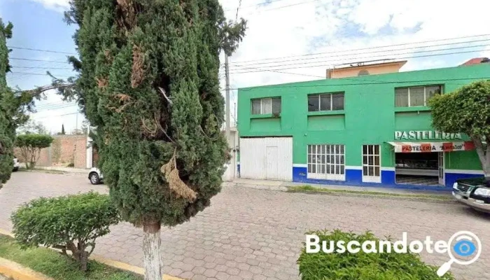 Dr. Julio Torres Moreno - Girasoles