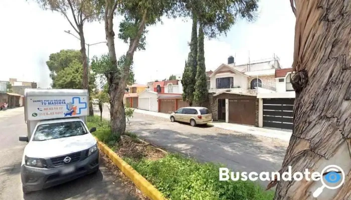 Dr. Victor Francisco Izaguirre Gutierrez, Internista - Cuautitlán Izcalli