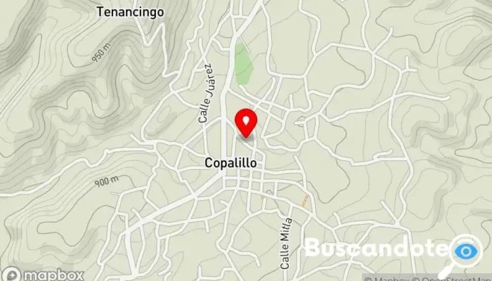 Herbalife Nutricion copalillo. - 41060 Copalillo