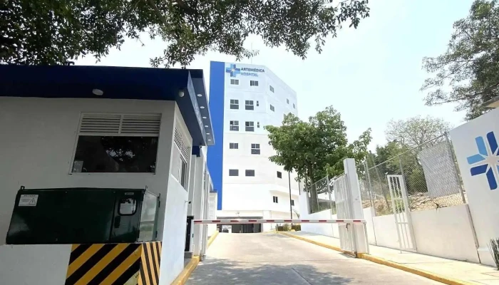Hospital ArteMédica - La Virgen