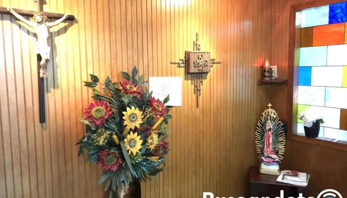 Hospital San Francisco de Tj Bc - Colonia America
