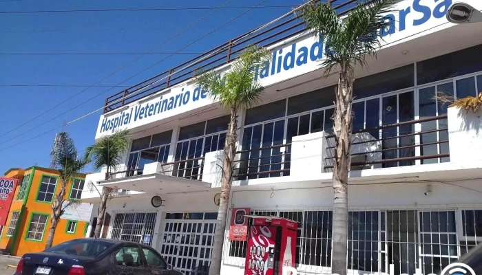 Hospital Veterinario De Especialidades Garsa Ixtulco - 90105 Santa María Ixtulco