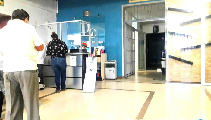 Laboratorios Del Sur - Col Del Centro