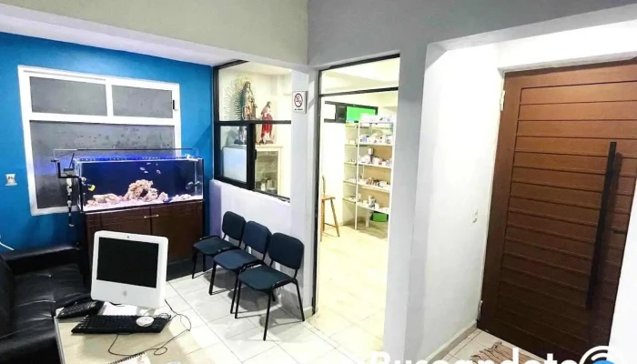 Médica Pacífico - Almoloya Del Río