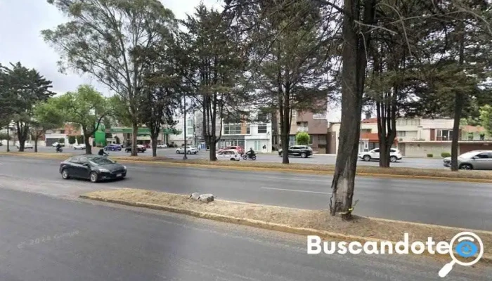 Medici - Toluca De Lerdo