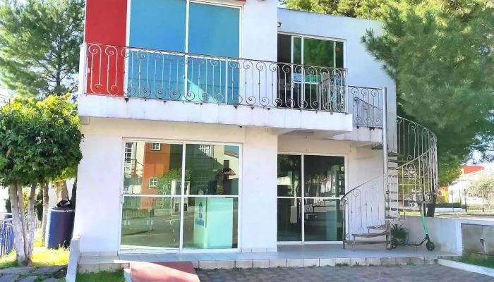 Pauvet - Cardiología y Cirugía Veterinaria - Bosque De Encinos Lt 28